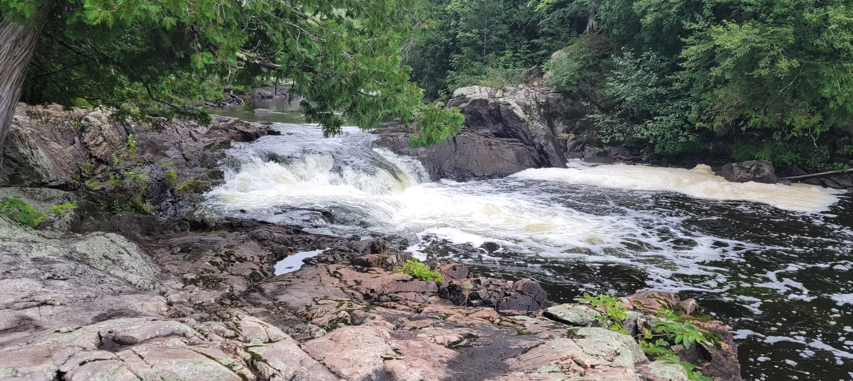 Small waterfall flowing over rocks in a green forest stream