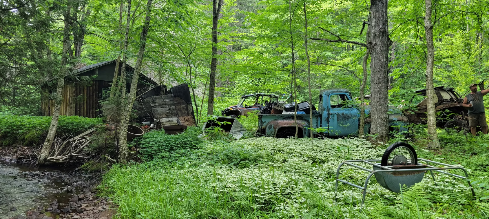 Rusty old truck in a wooded yard beside a small cabin, with a hanging bucket in the foreground