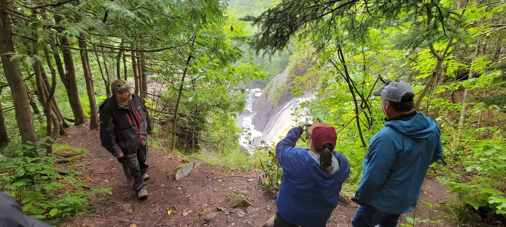 Three hikers on a forest trail overlook a waterfall through green trees