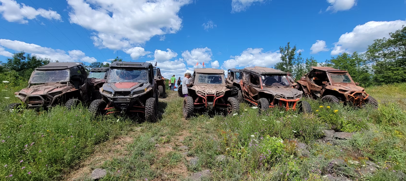 Row of damaged off-road vehicles overgrown in tall grass under a blue sky