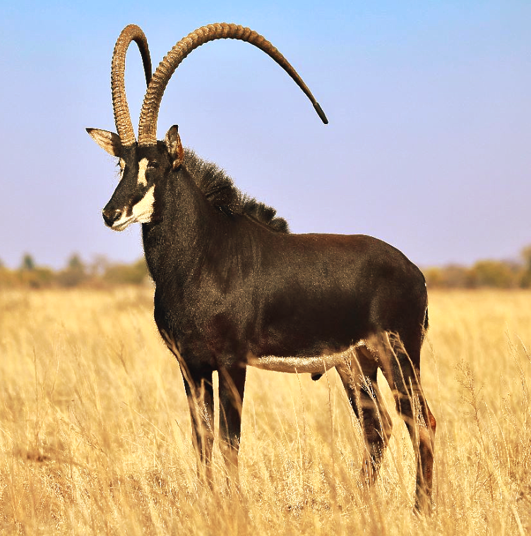 Two people standing in front of a sign that says swws 2013