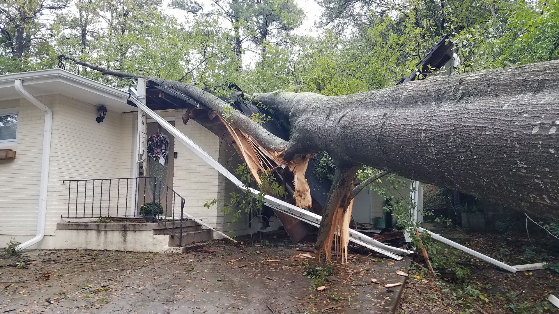 Massive  oak tree with codominant stems crashes through the roof.