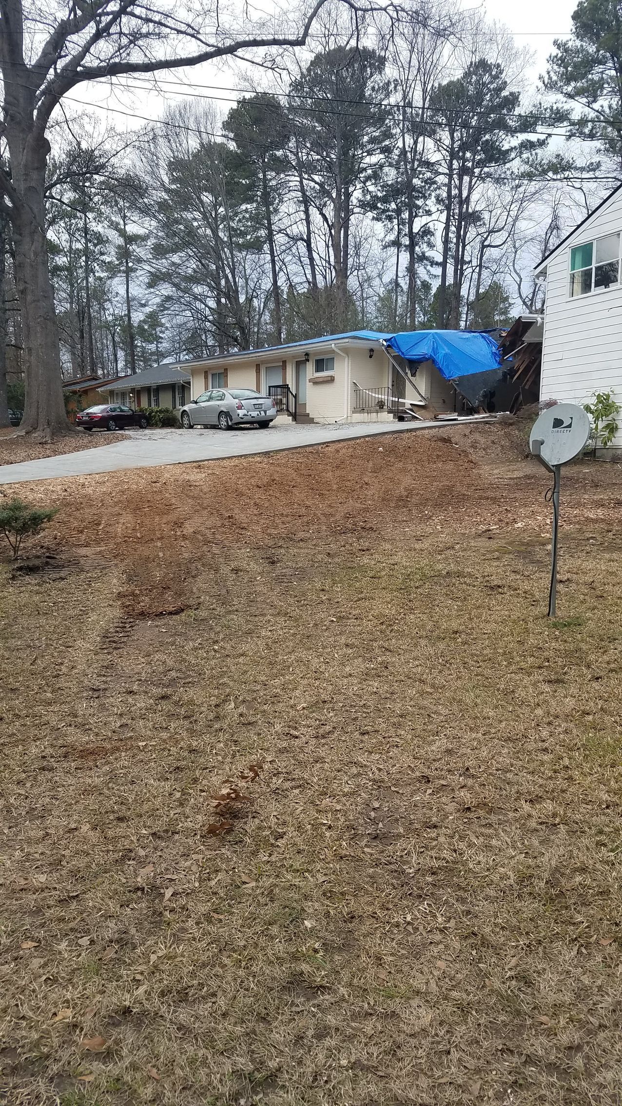 Stump Grinding and Removal