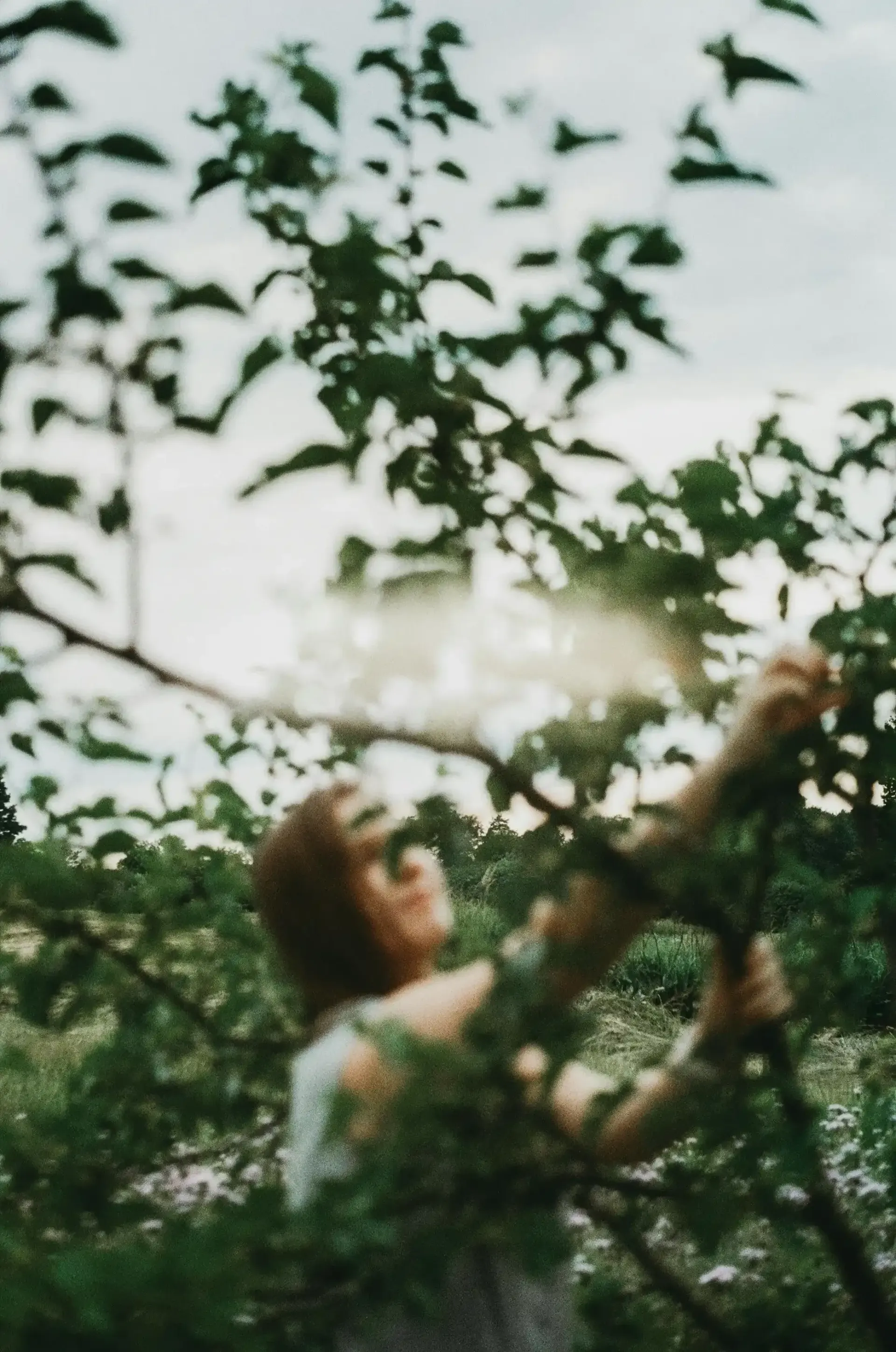A lady standing in a field reaching up and grabbing a tree branch to inspect it 