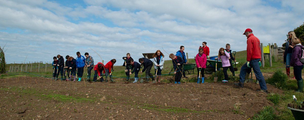 Photo of Potato Planting by Art Ward ©