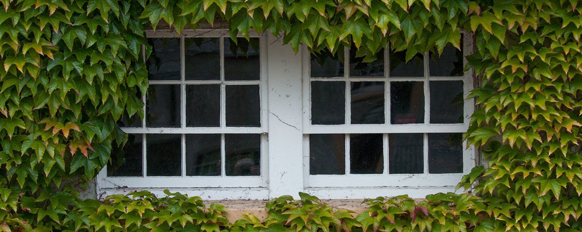 Photo of an old window by Art Ward ©
