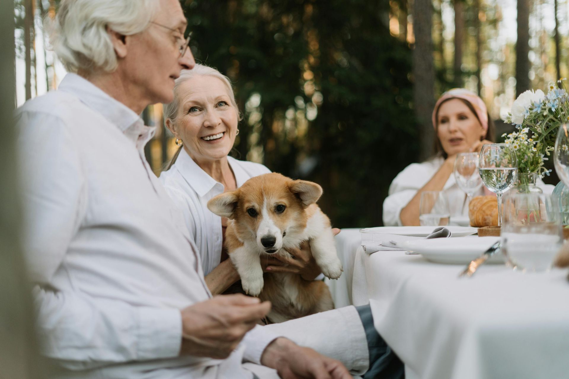 An elderly couple is sitting at a table holding a dog.