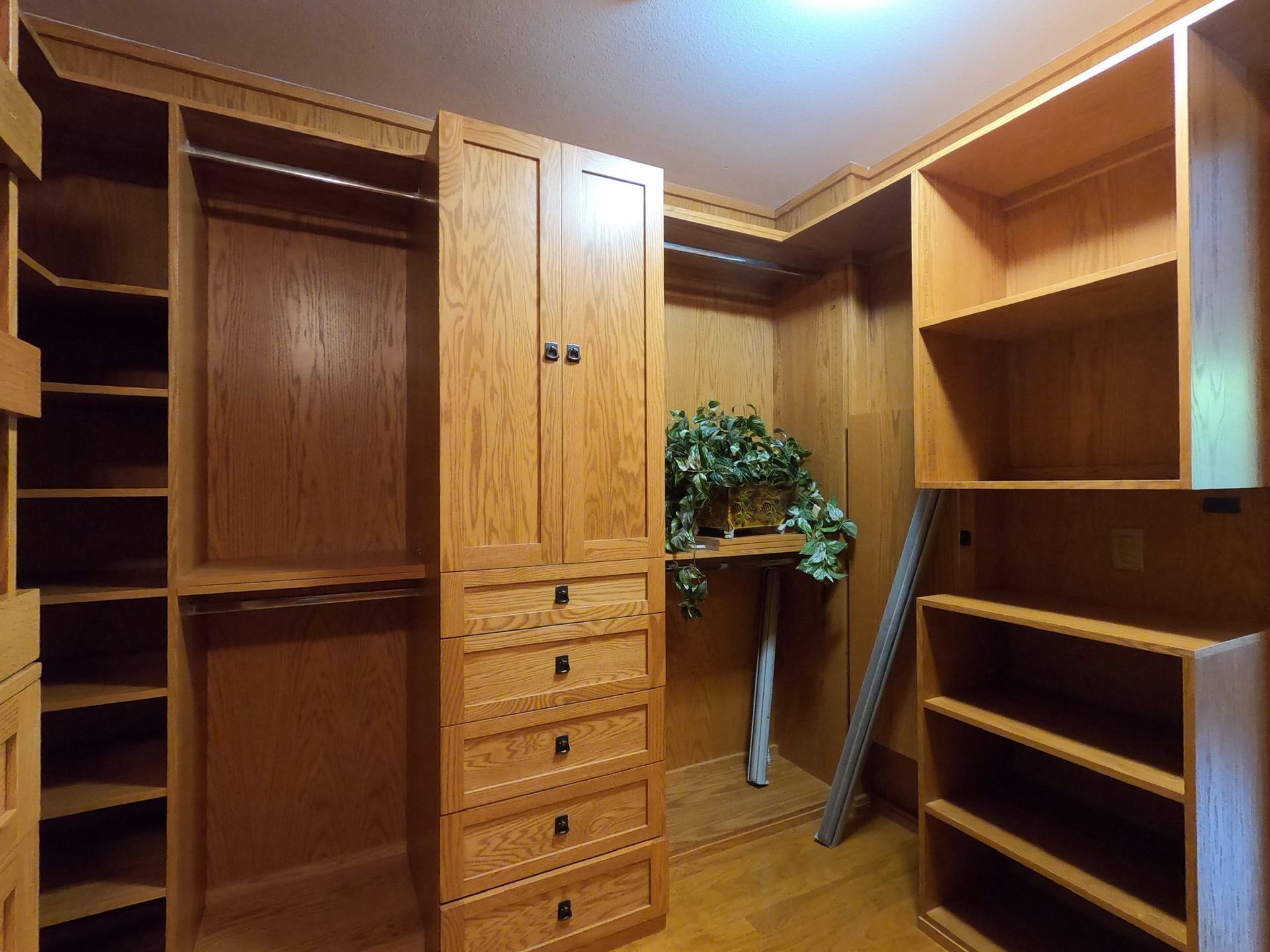 Wooden walk-in closet with shelves, drawers, and hanging rods. There is a plant on a shelf and a light above.
