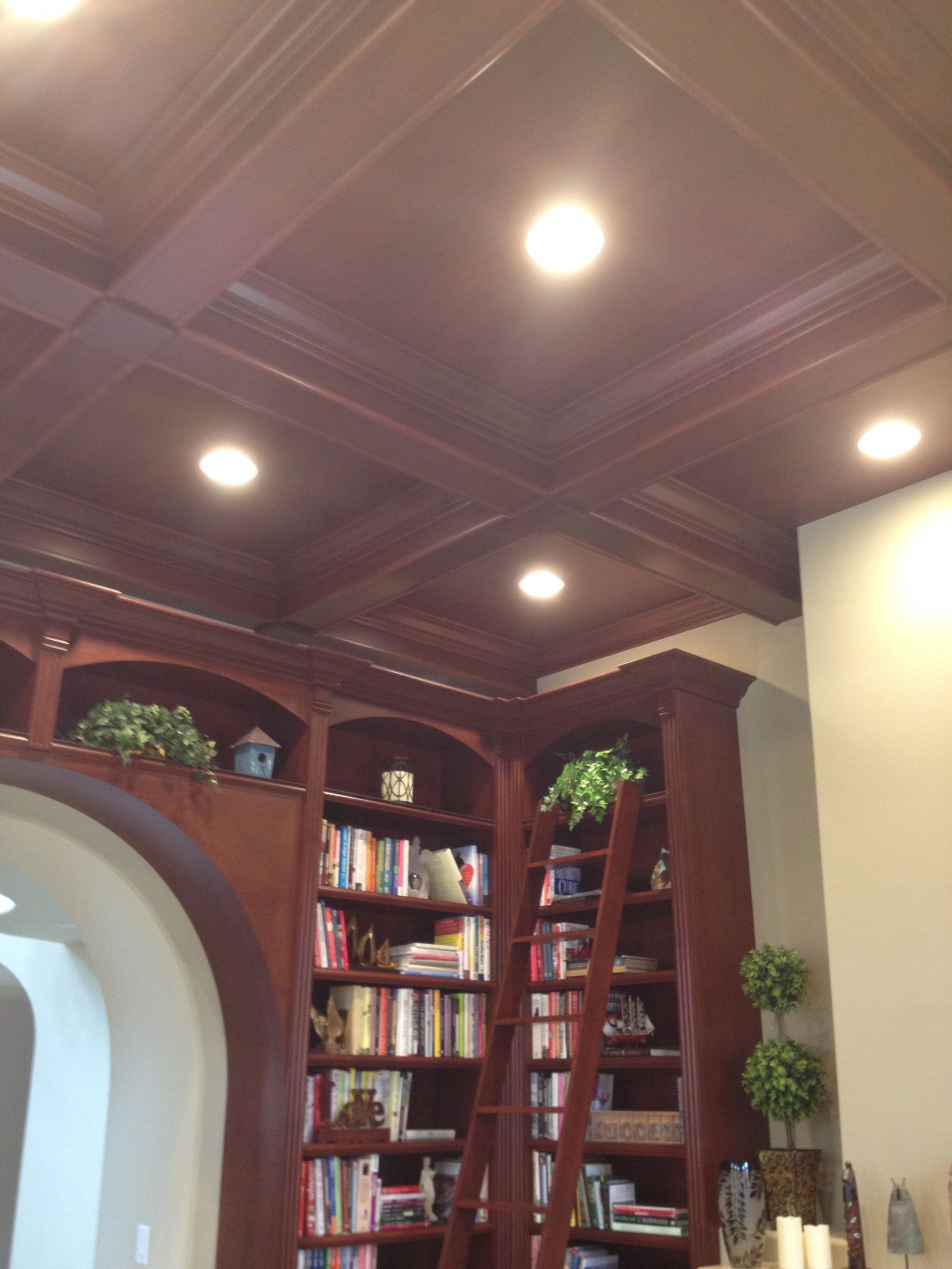 Wooden paneled ceiling with recessed lighting above a built-in bookcase filled with books and a wooden ladder.