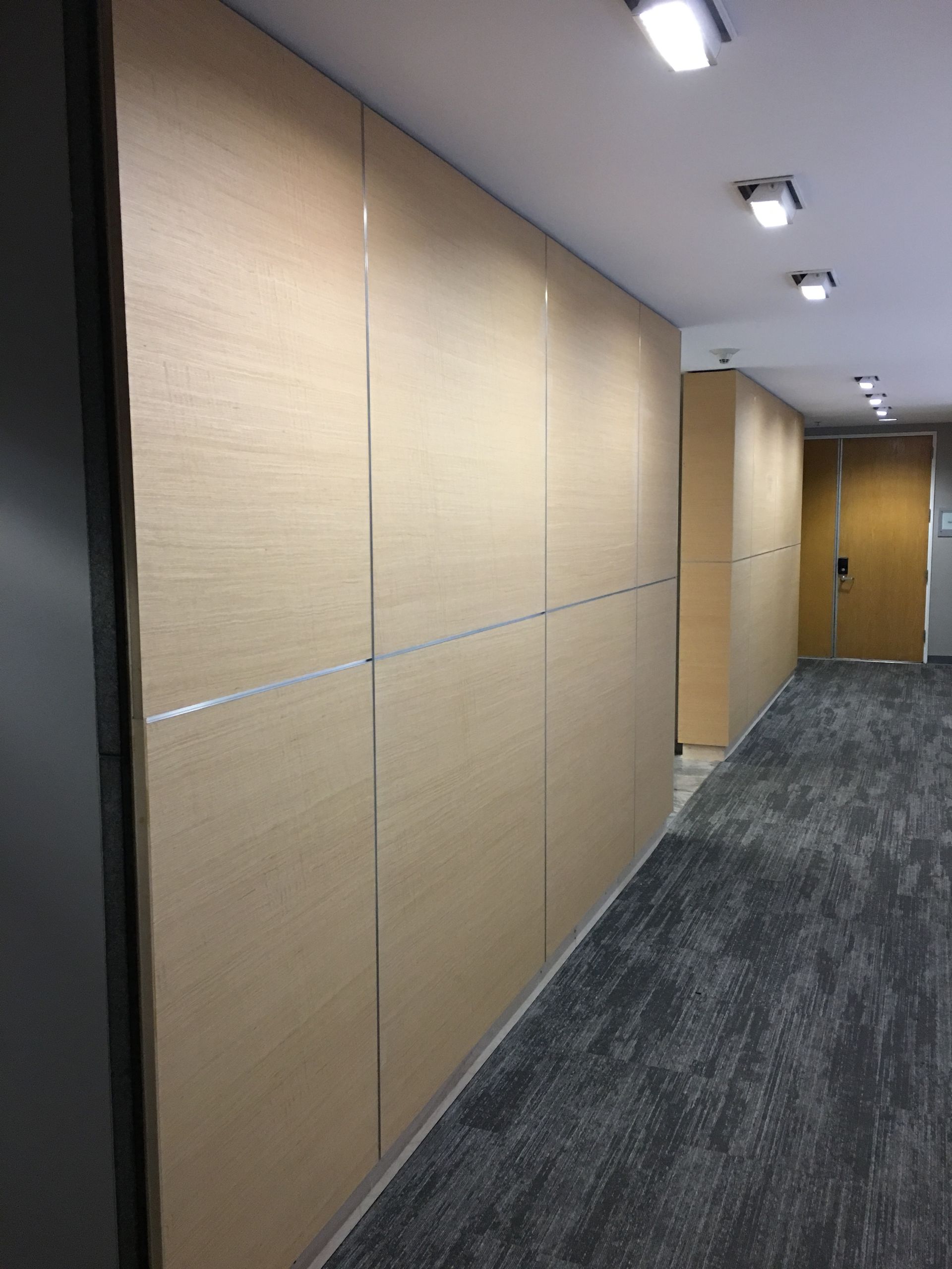 A hallway with light wood-paneled walls, gray carpet, and recessed ceiling lights. A door is visible at the end.