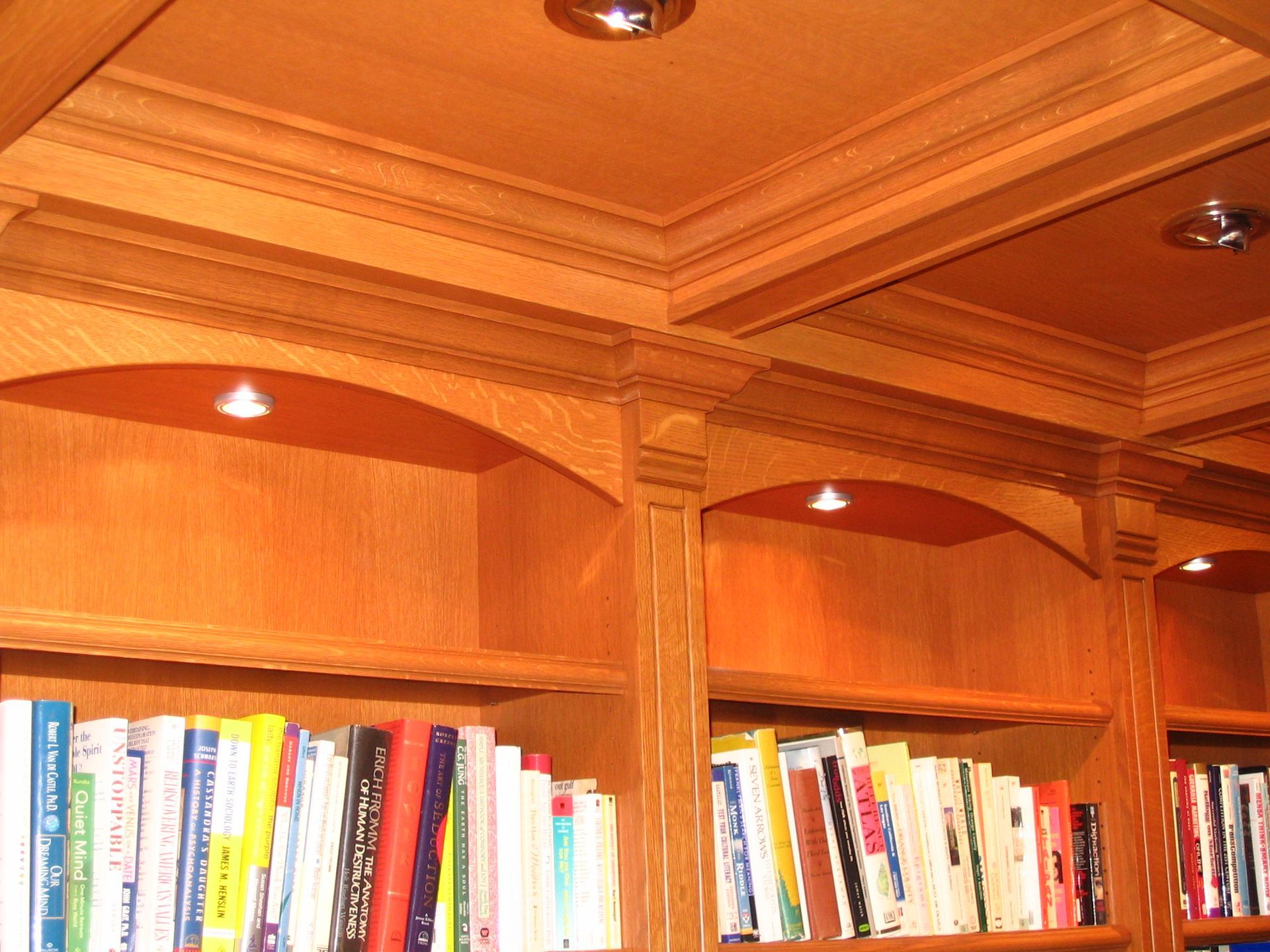 Wooden bookshelves with recessed lighting, filled with books.
