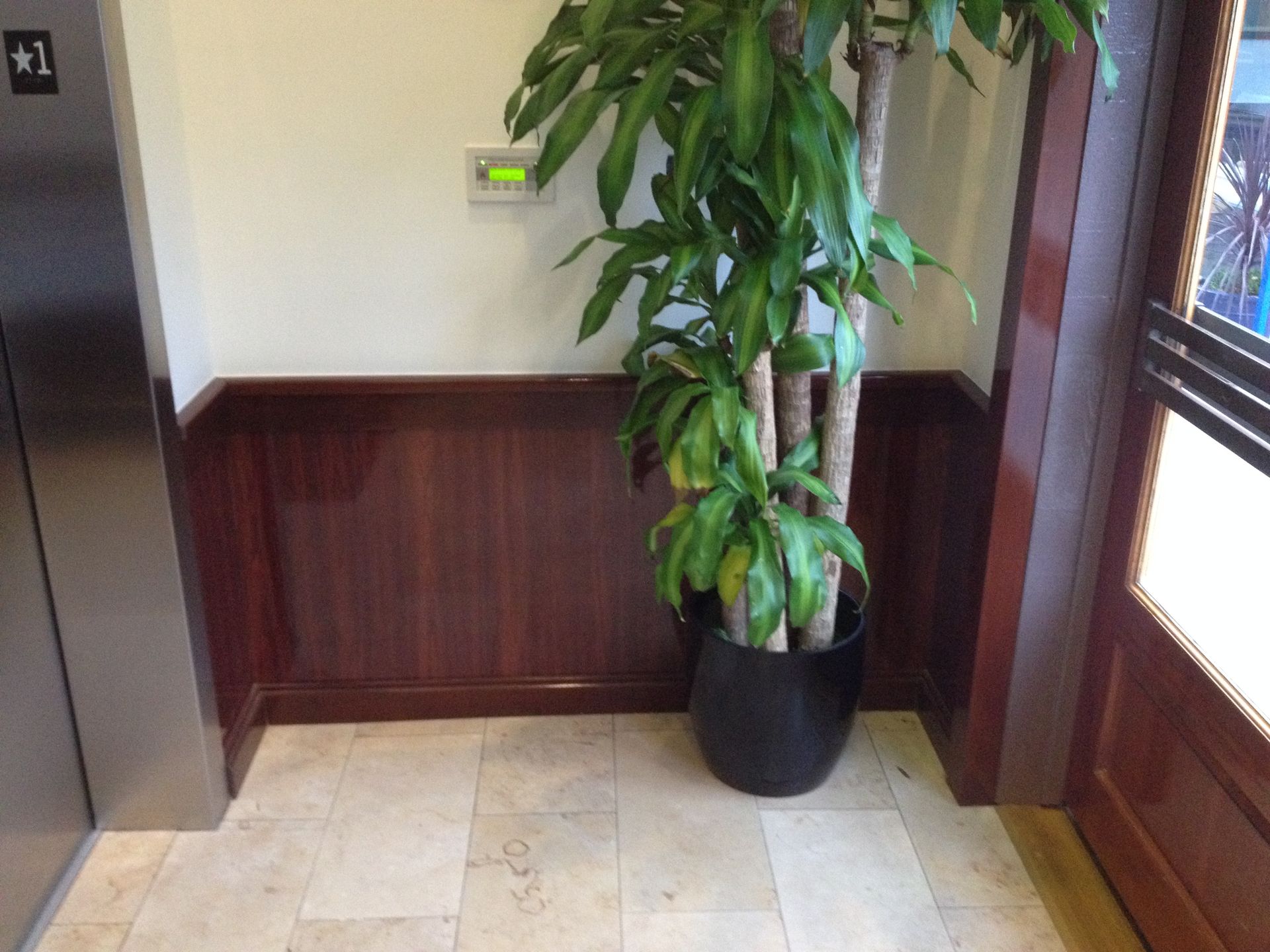 Elevator and door beside a potted plant in a corner with wood paneling and light stone tile flooring.