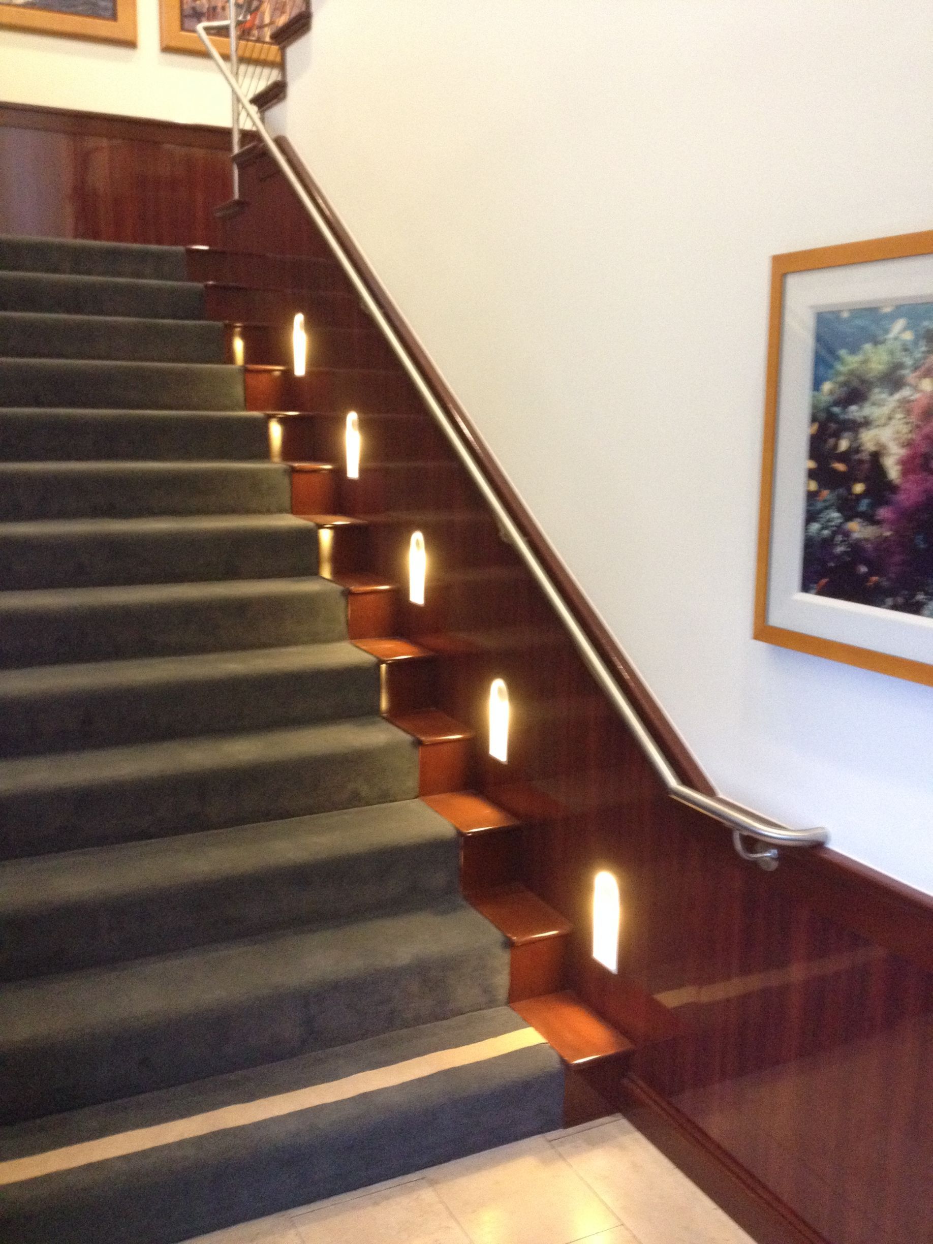 Dark wood staircase with carpeted steps and wall-mounted lighting. A stainless steel handrail is visible.