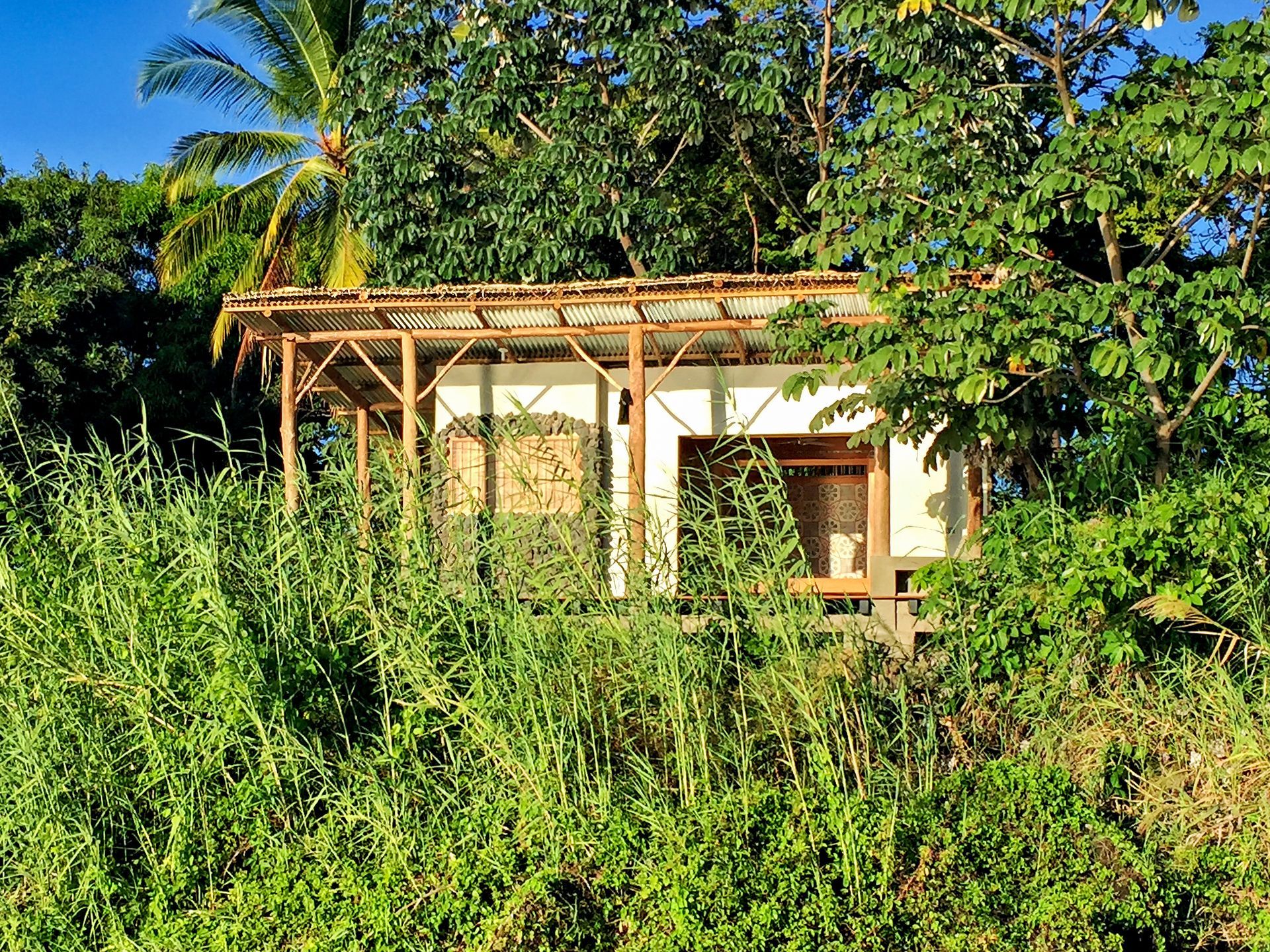 A small, weathered building mostly obscured by lush, green foliage, under a blue sky.