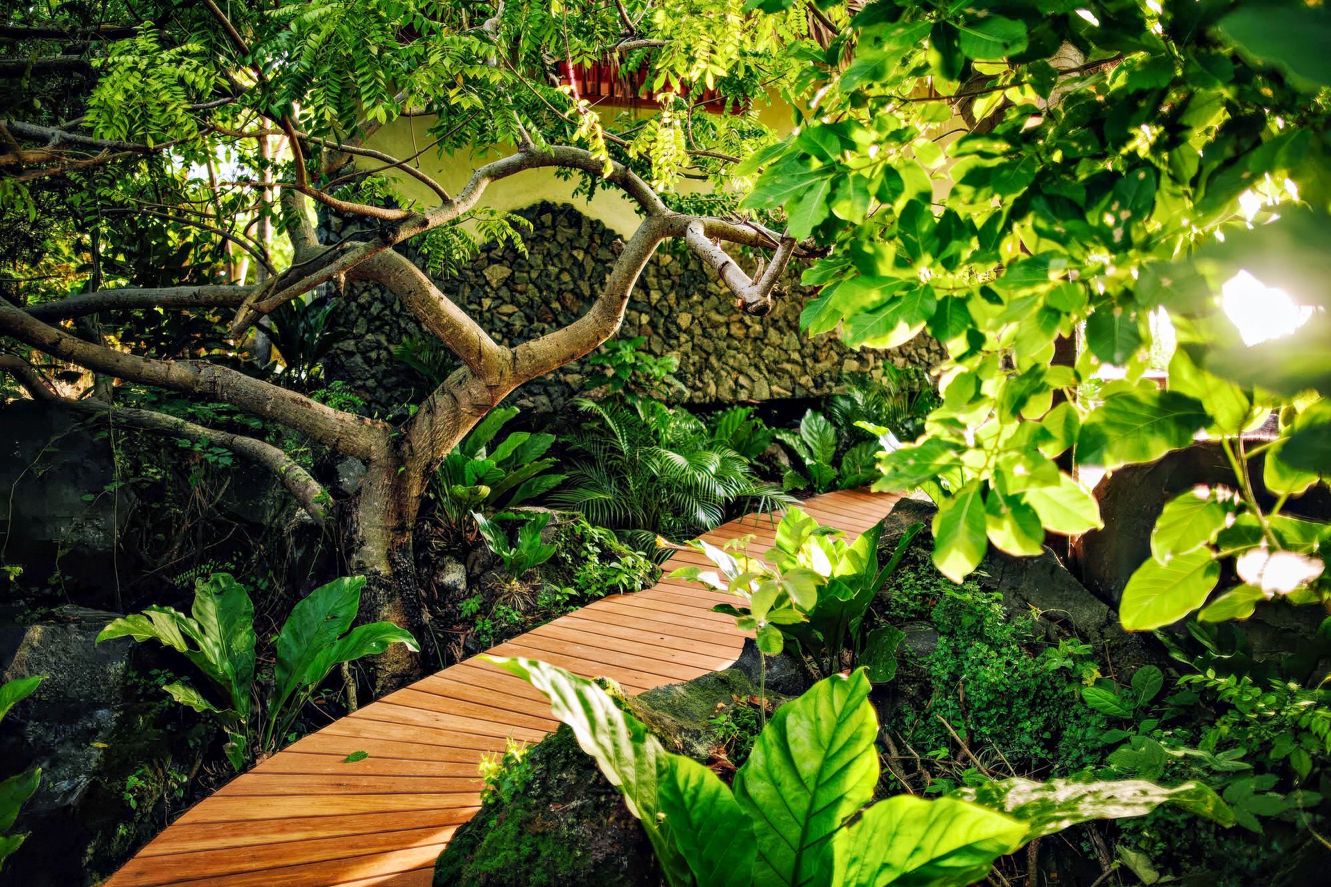 Wooden pathway winds through a lush garden with greenery, rocks, and dappled sunlight.