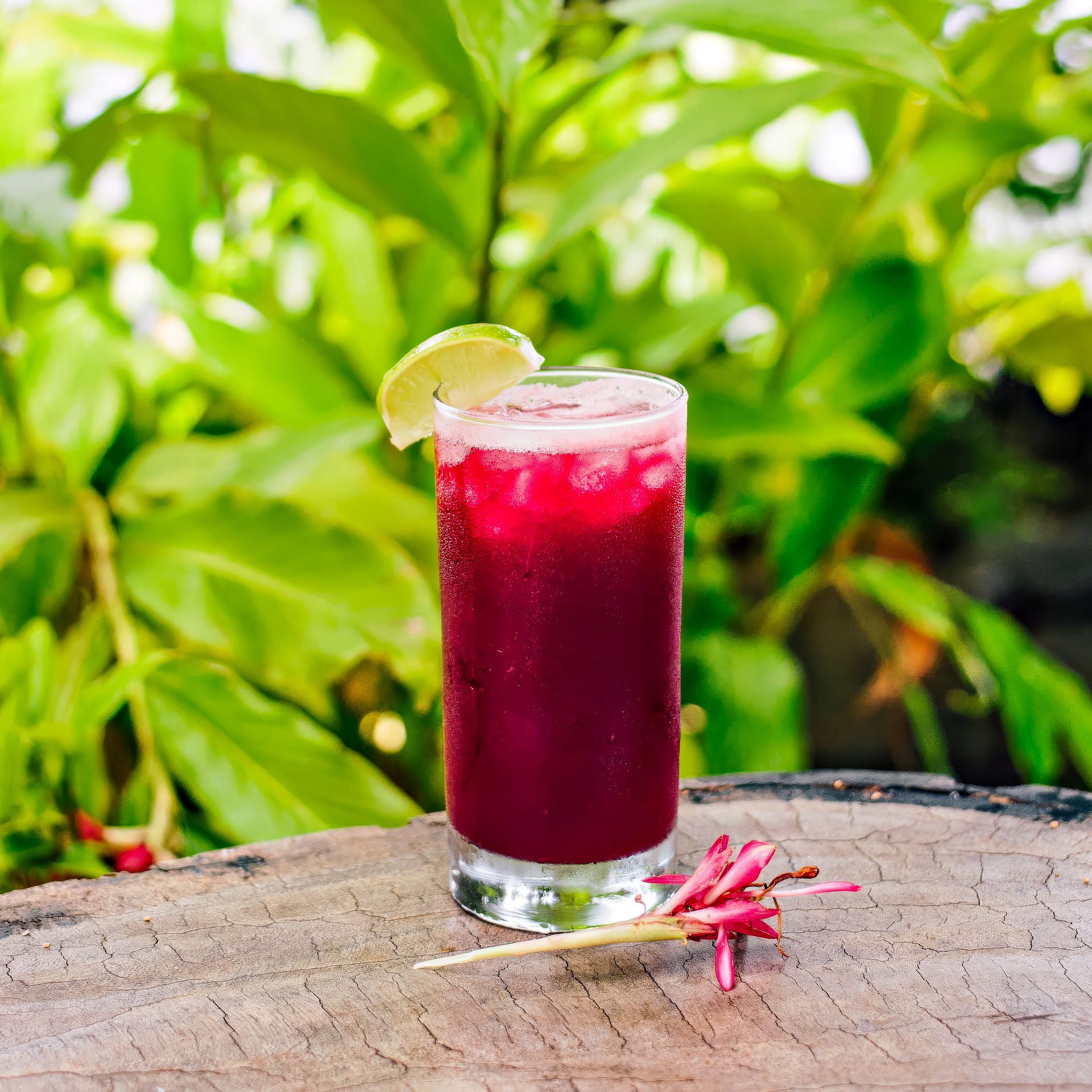 Tall glass of red cocktail with lime garnish on a wooden surface, green foliage backdrop.