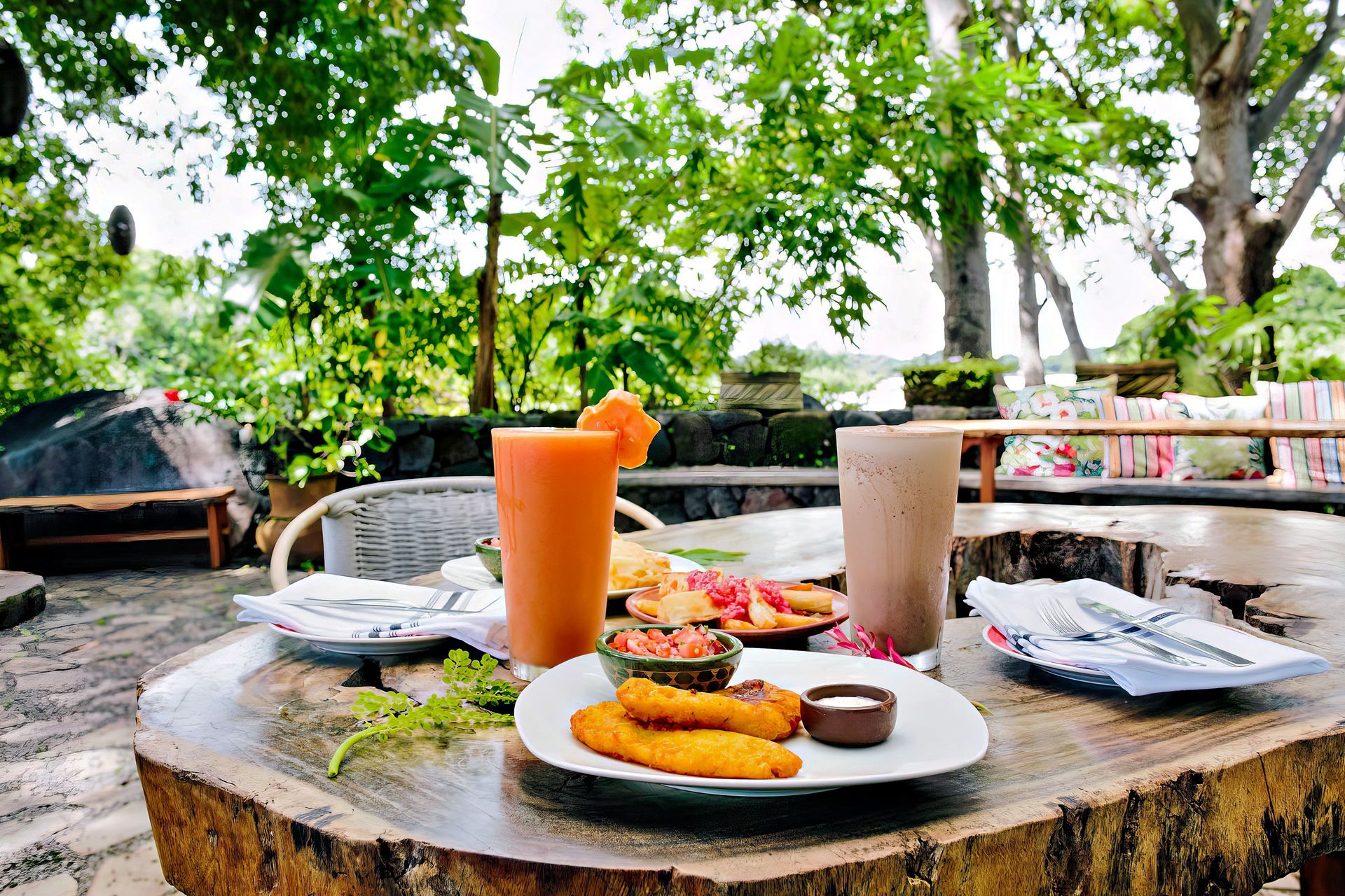 Outdoor dining scene. Table with food and drinks, lush greenery in the background.