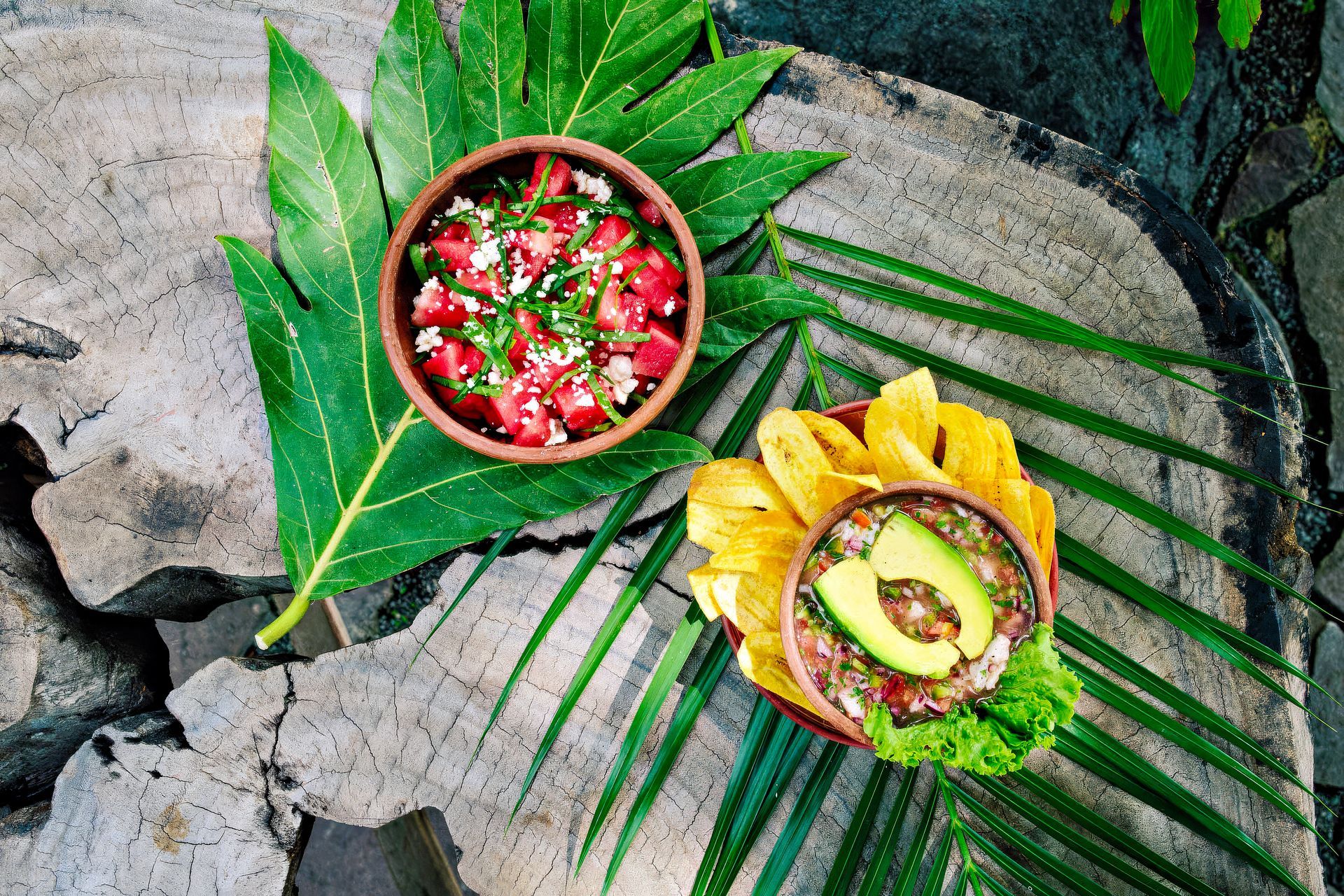 Two bowls of salsa with plantain chips, garnished with avocado and herbs, on a tree stump with foliage.