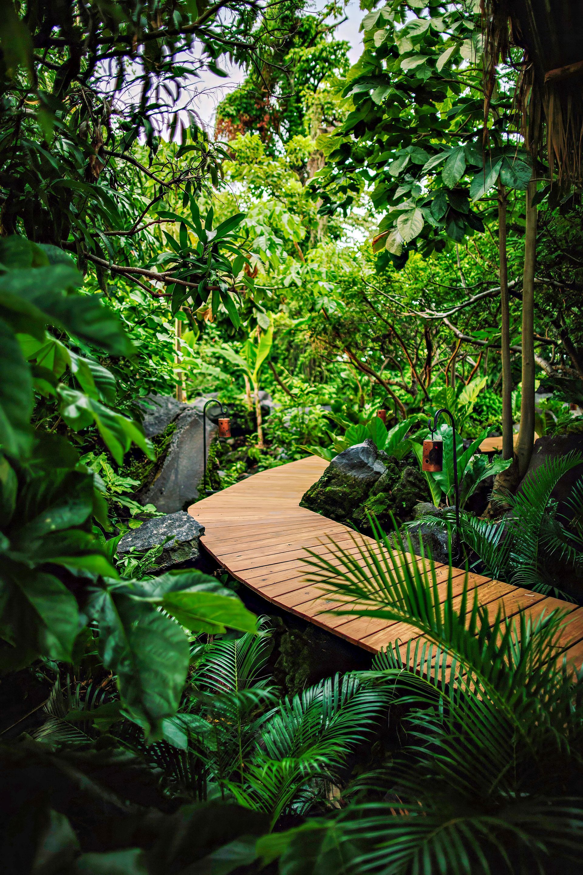 Wooden walkway winds through lush green jungle, plants on either side, sunlight dappling through trees.