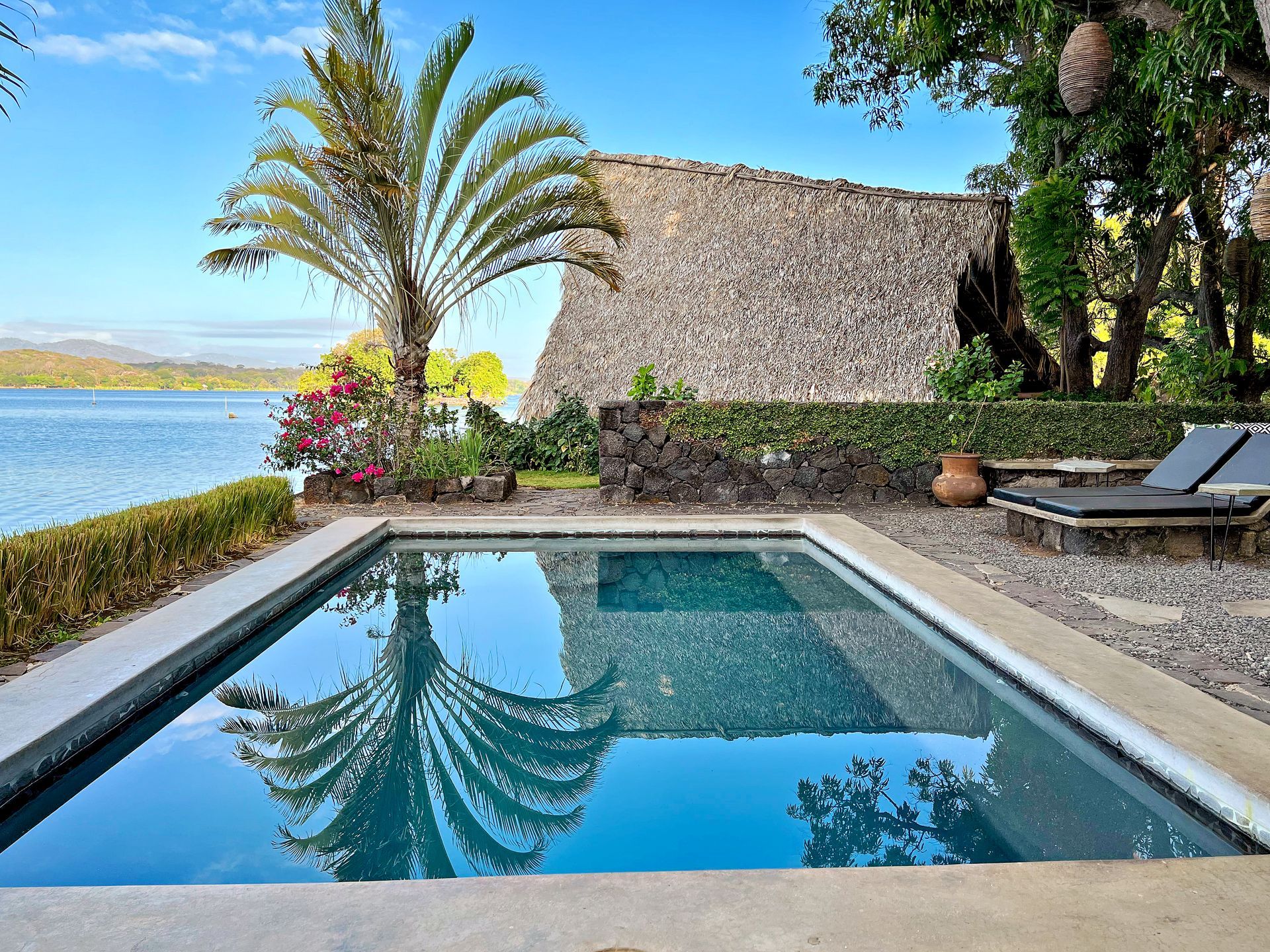 Poolside view of water, a small stone structure, and a palm tree.