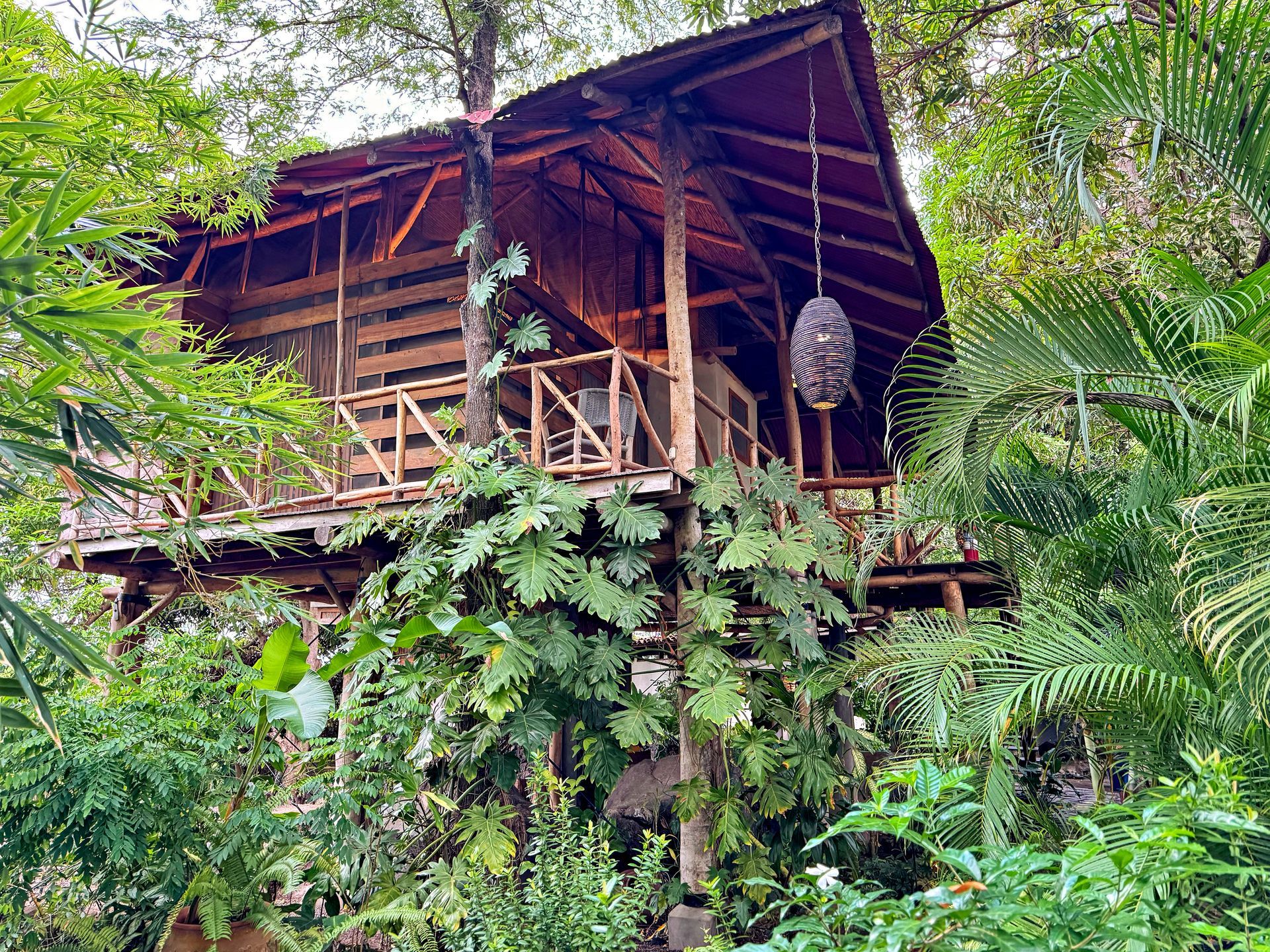 Wooden treehouse in lush green foliage, surrounded by tropical plants and a hanging wicker chair.