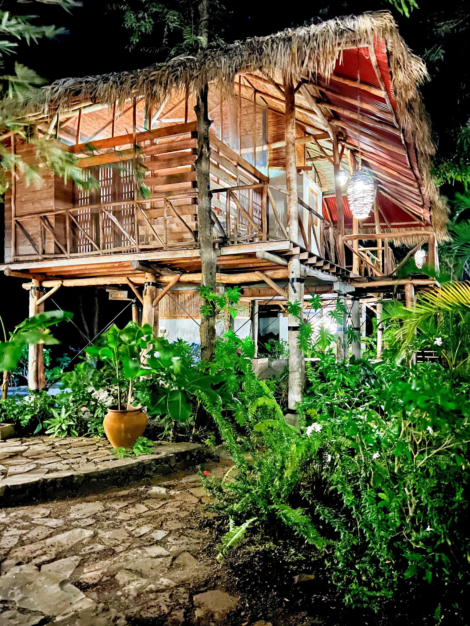 Wooden hut with a thatched roof, surrounded by lush green plants and a stone path at night.