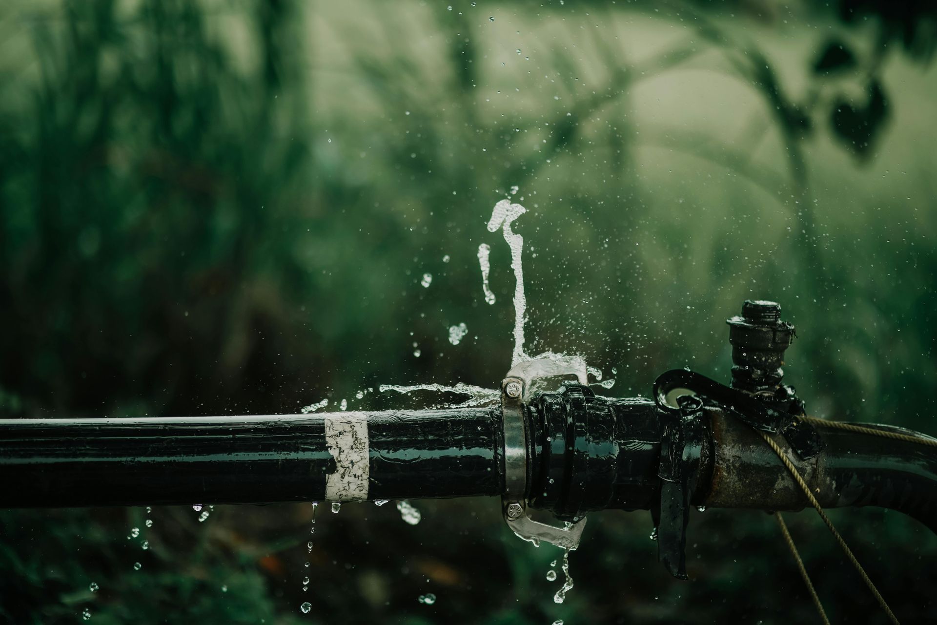 Water spurting from a broken black pipe joint outdoors. Green foliage in the blurred background.