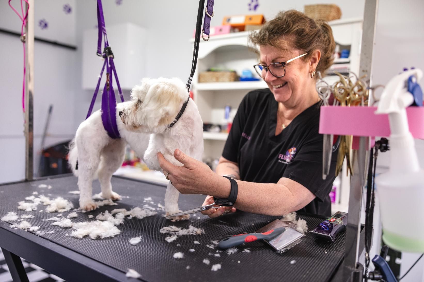 A Woman is Grooming a Small White Dog on a Table — Fluffy Paws Pet Grooming In Wingham, NSW