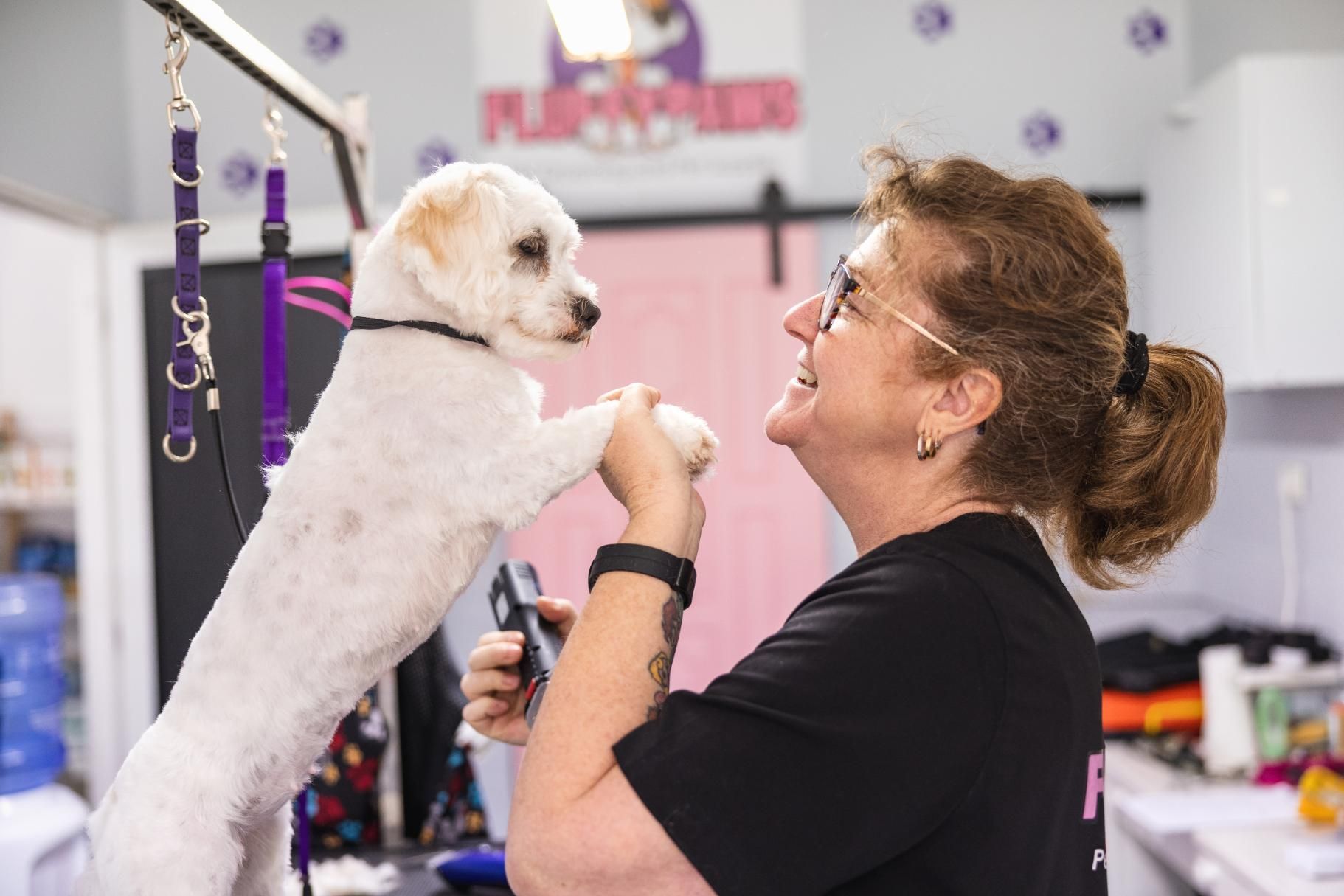 A Woman is Grooming a White Dog in a Salon — Fluffy Paws Pet Grooming In Wingham, NSW