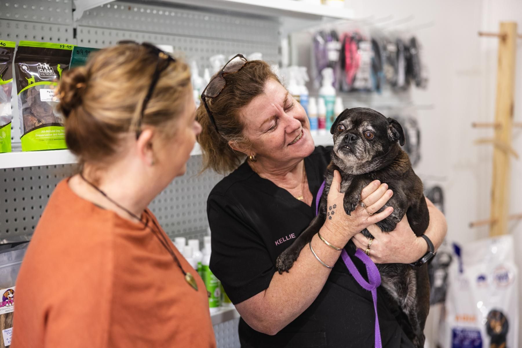 Two Women Are Holding a Dog in a Veterinary Clinic — Fluffy Paws Pet Grooming In Gloucester, NSW