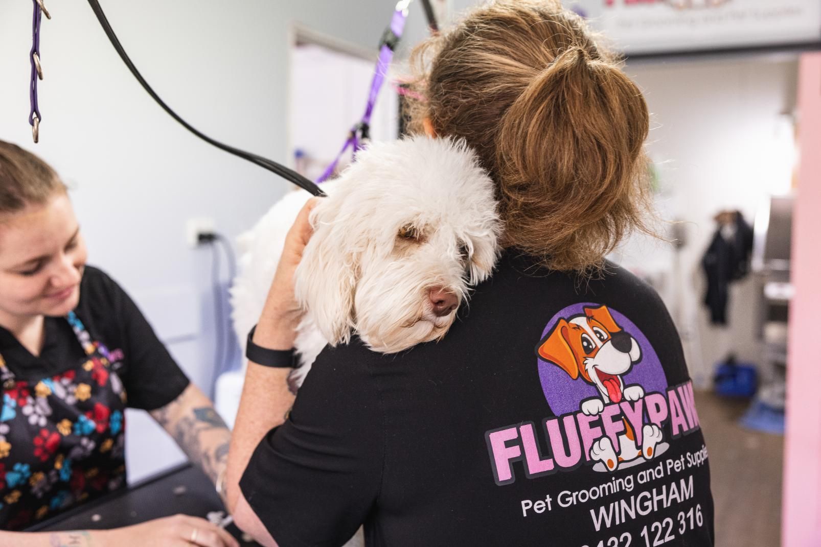 A Woman is Grooming a White Dog in a Pet Grooming Salon — Fluffy Paws Pet Grooming In Gloucester, NSW