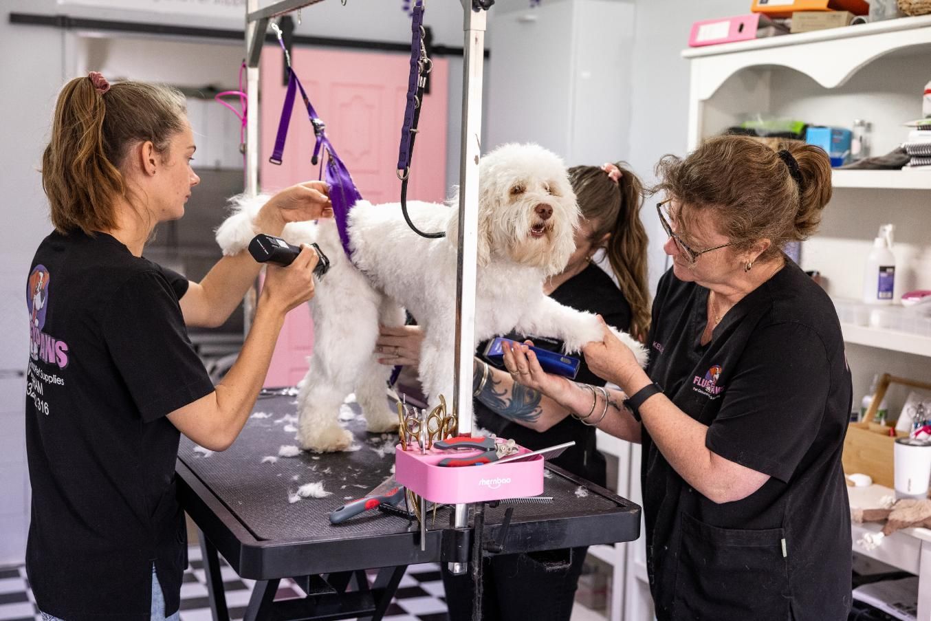 Two Women Are Grooming a White Dog in a Dog Grooming Salon — Fluffy Paws Pet Grooming In Nabiac, NSW