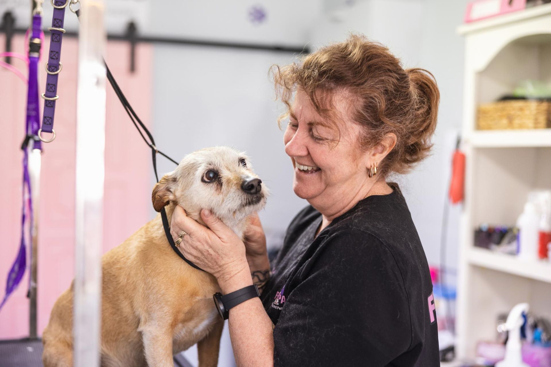 A Woman is Grooming a Small Dog in a Grooming Salon — Fluffy Paws Pet Grooming In Wingham, NSW