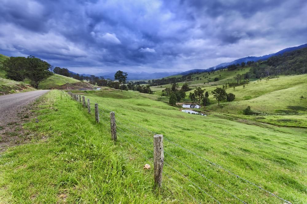 A Dirt Road Going Through a Grassy Field With a Fence in the Foreground — Fluffy Paws Pet Grooming In Gloucester, NSW