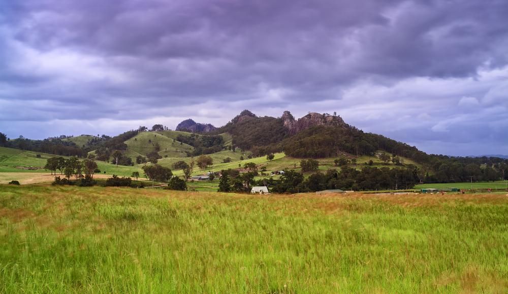 A Field With a Mountain in the Background and a Cloudy Sky — Fluffy Paws Pet Grooming In Gloucester, NSW