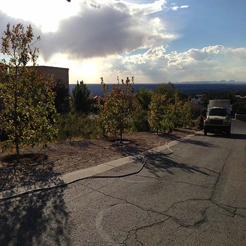 landscaping | El Paso, TX | Daniel's Tree & Landscaping Inc.