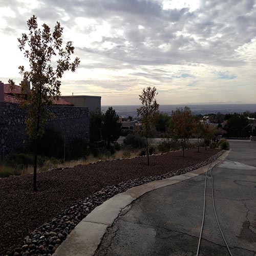 landscaping El Paso, TX Daniel's Tree & Landscaping Inc.