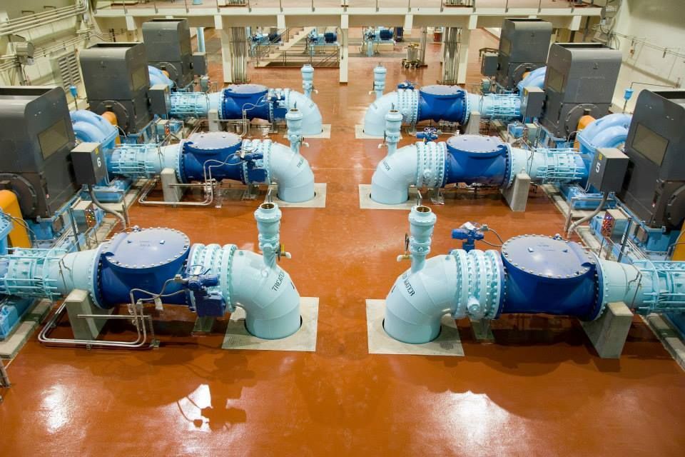 A bunch of blue pipes are lined up in a room