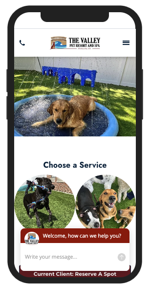 the valley pet resort and spa