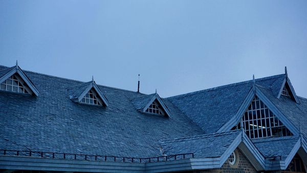 Slate-tiled roof with dormer windows against a blue sky.