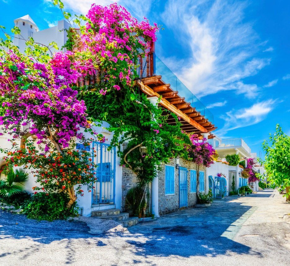 Best tours in Bodrum