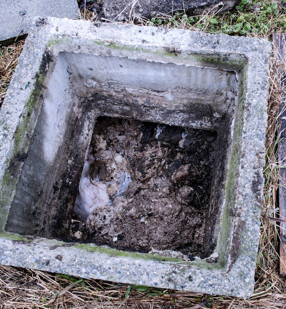 Our Services Gallery 01 in Jasper, AB