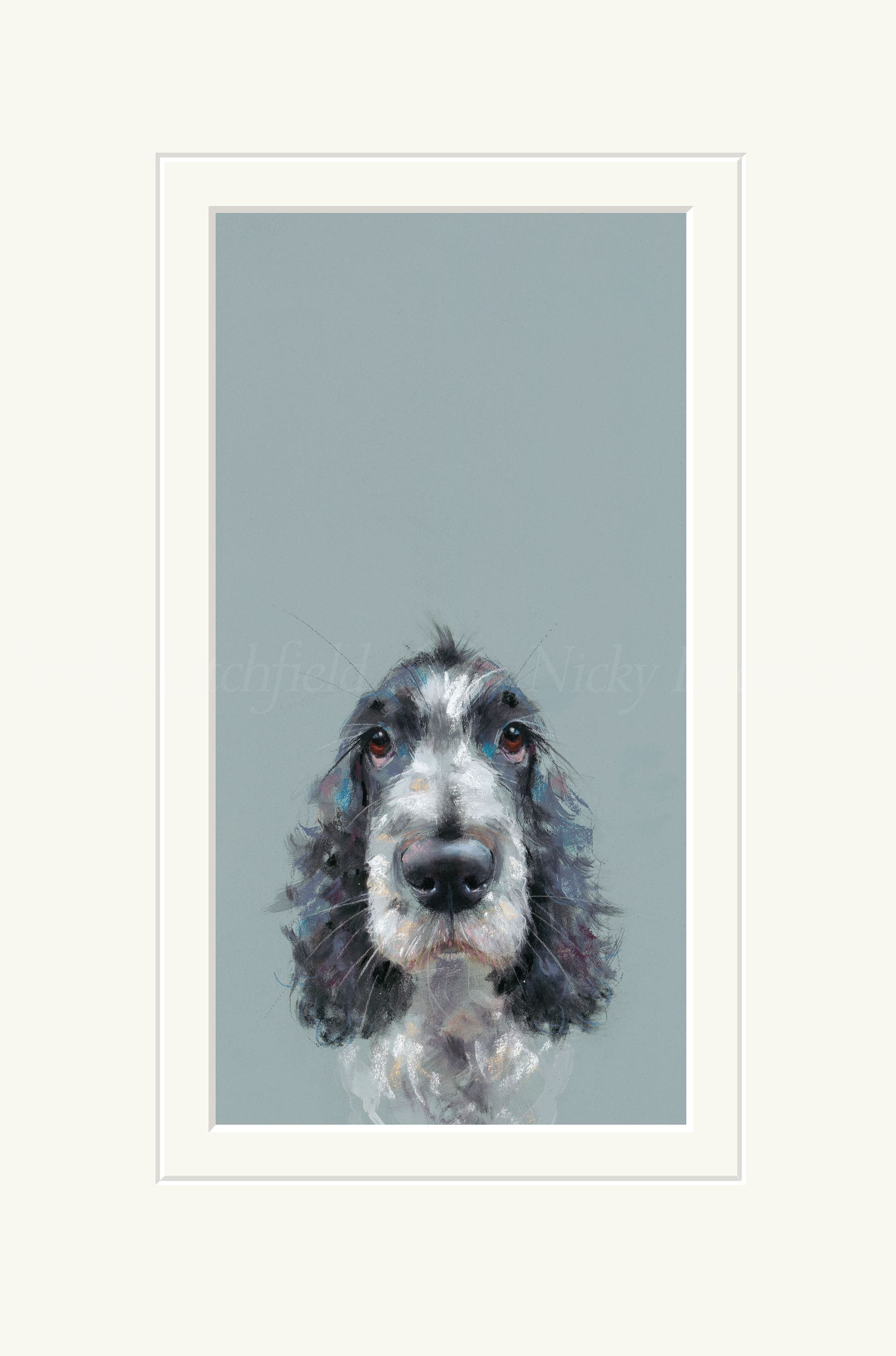 Can I come too by Nicky Litchfield 