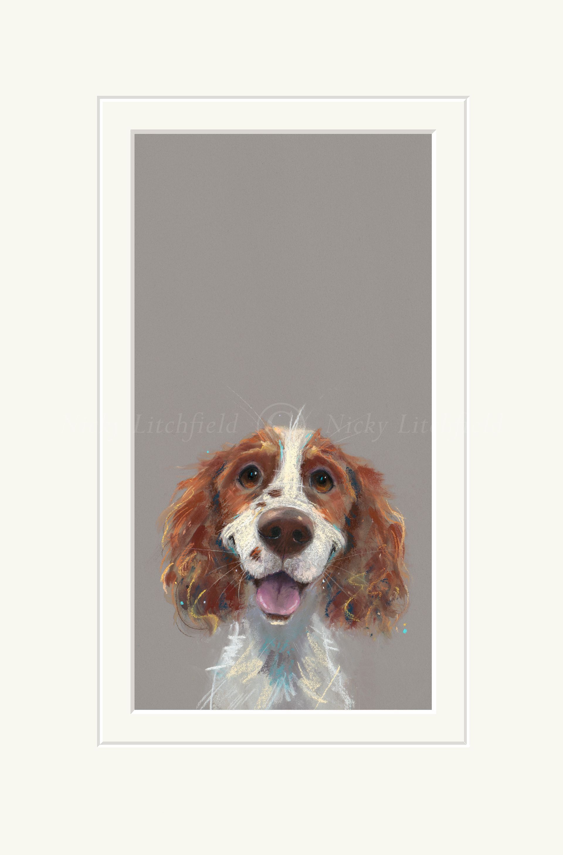 Happy go lucky by Nicky Litchfield for sale Sittingbourne Kent