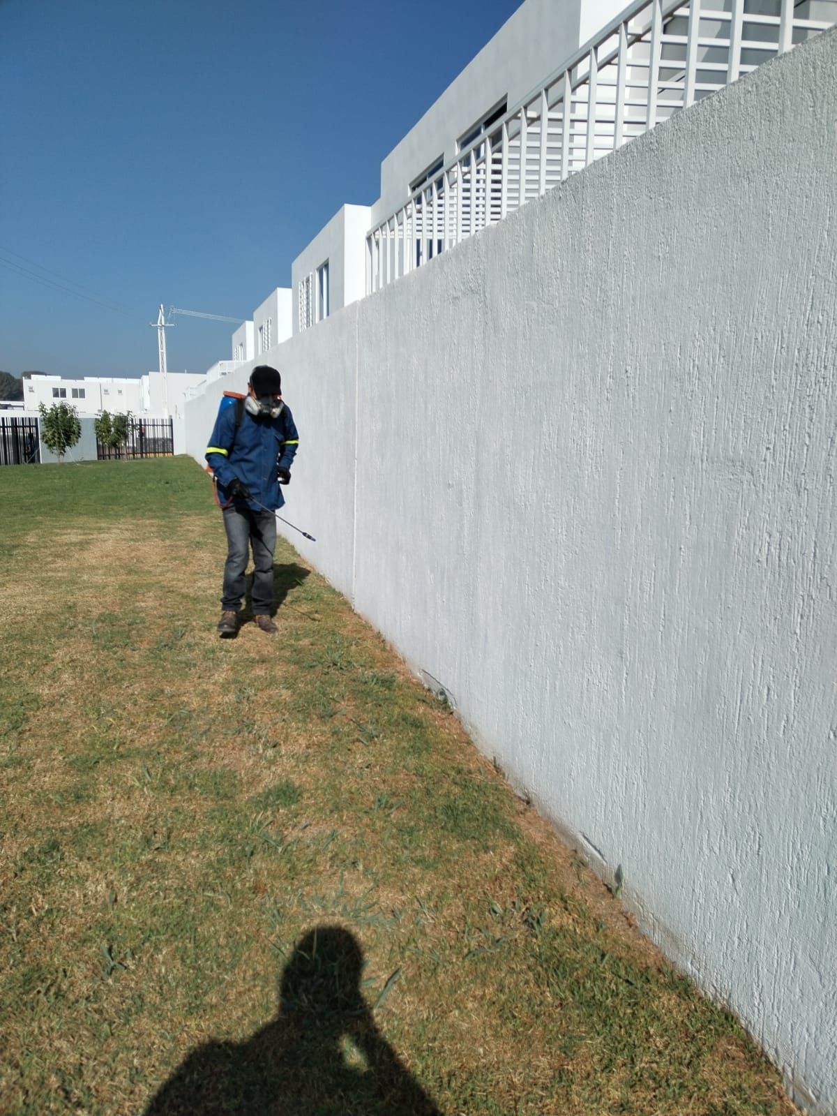 ASE FUMIPLAGAS- fumigaciones de jardines