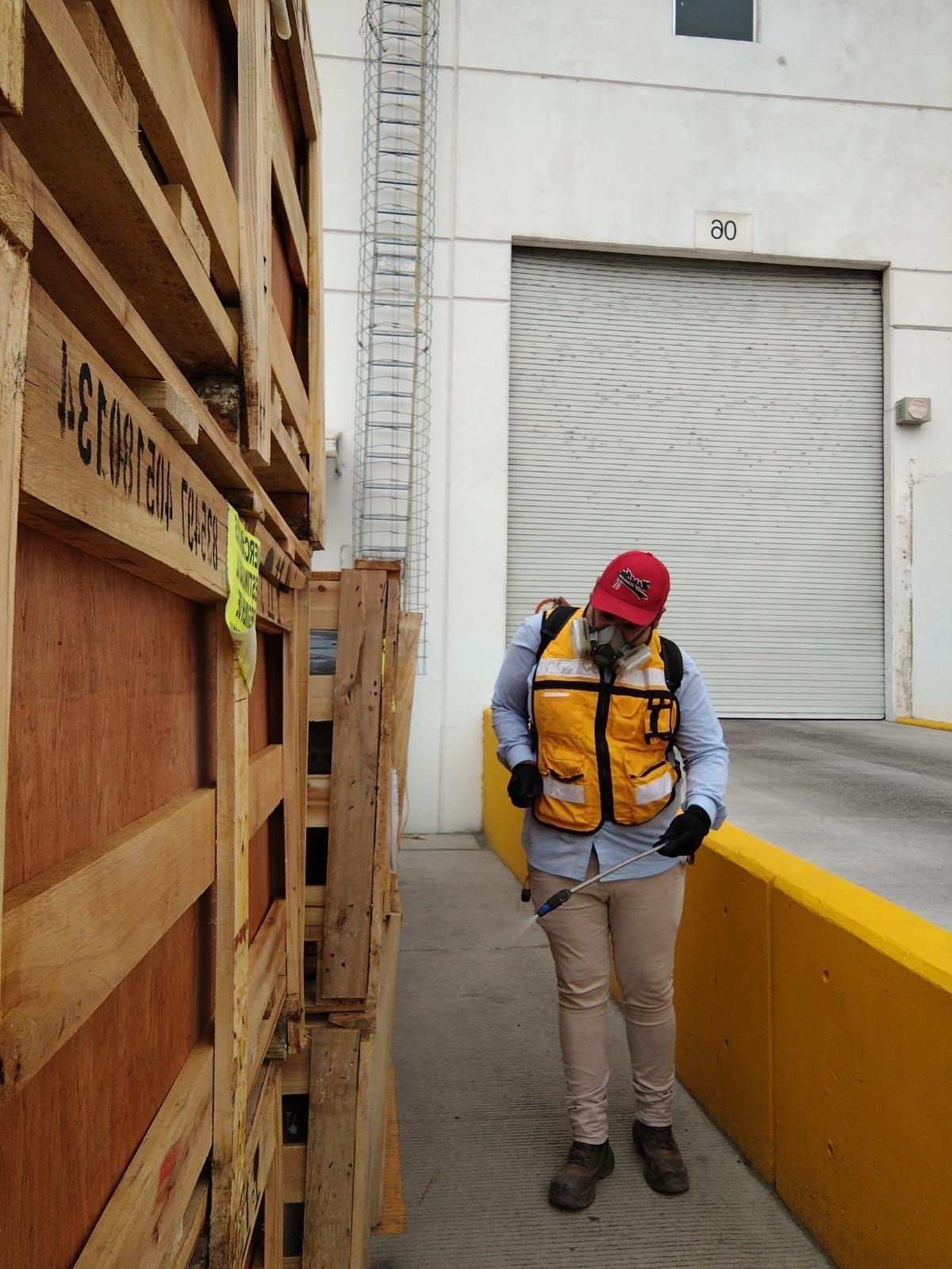 ASE FUMIPLAGAS - fumigaciones ASE