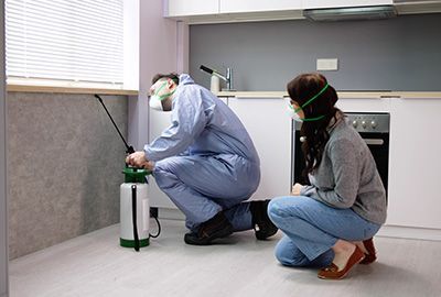 Hogares y casas habitación