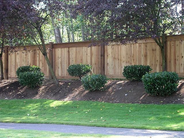 Cedar Fence Beside The Trees — Marysville, WA — Premier Fence, Inc.