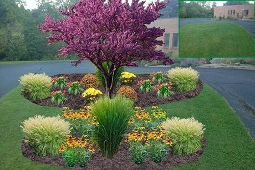 landscape design Albany, NY
