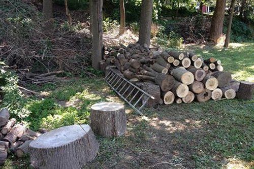 landscape design Schenectady, NY